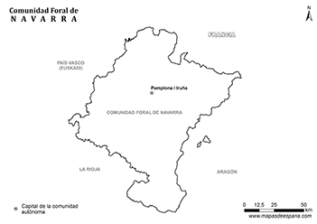 Mapa Comunidad Foral de Navarra en blanco